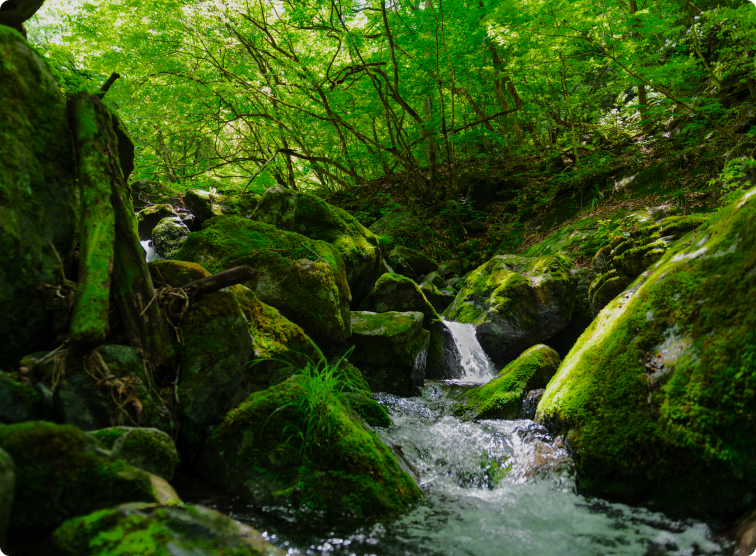 花崗岩地層